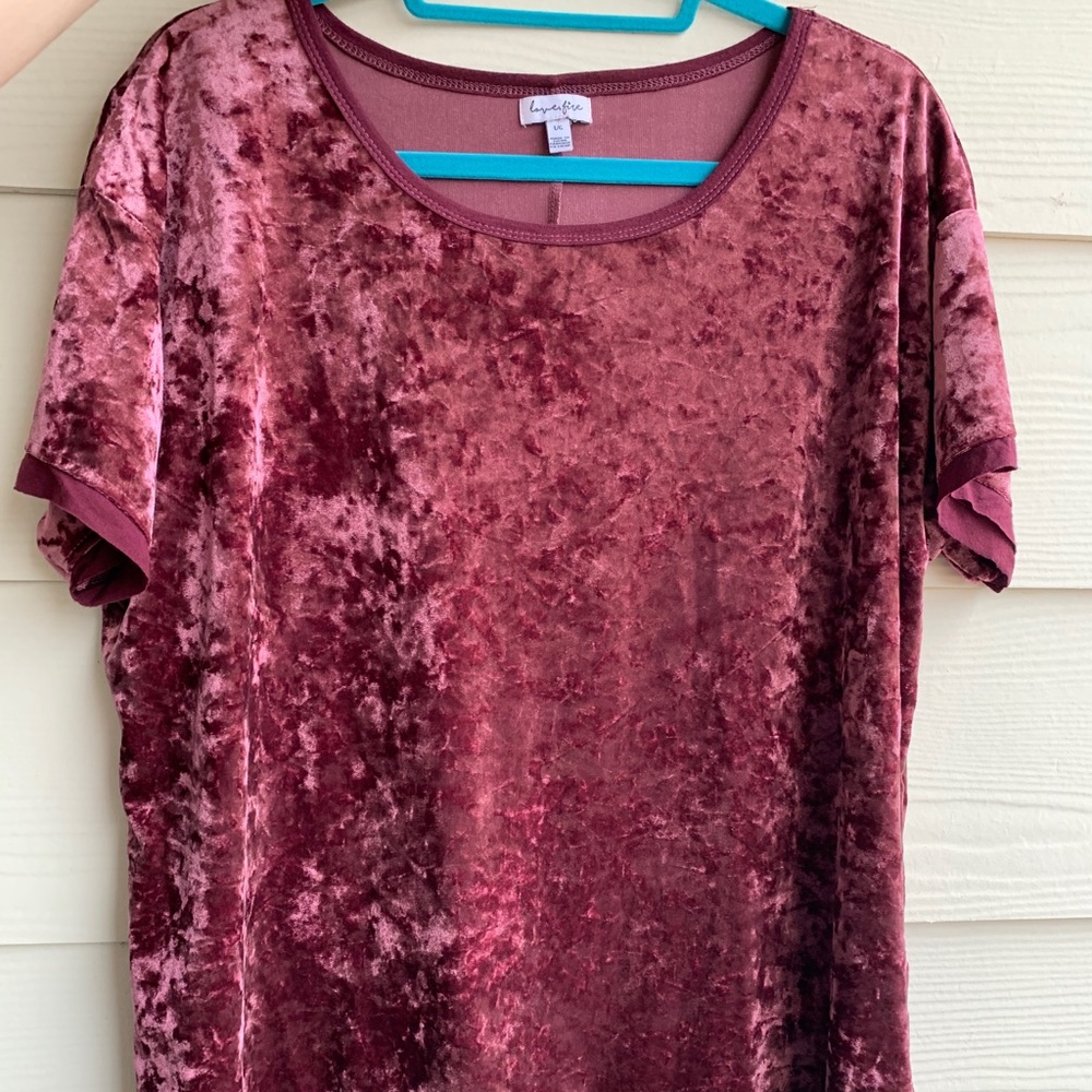 Short sleeve velvet top